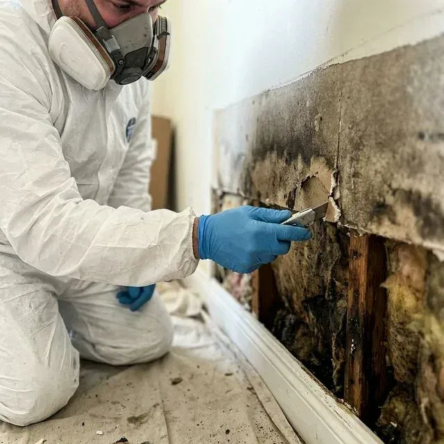 Drywall in Grand Chute